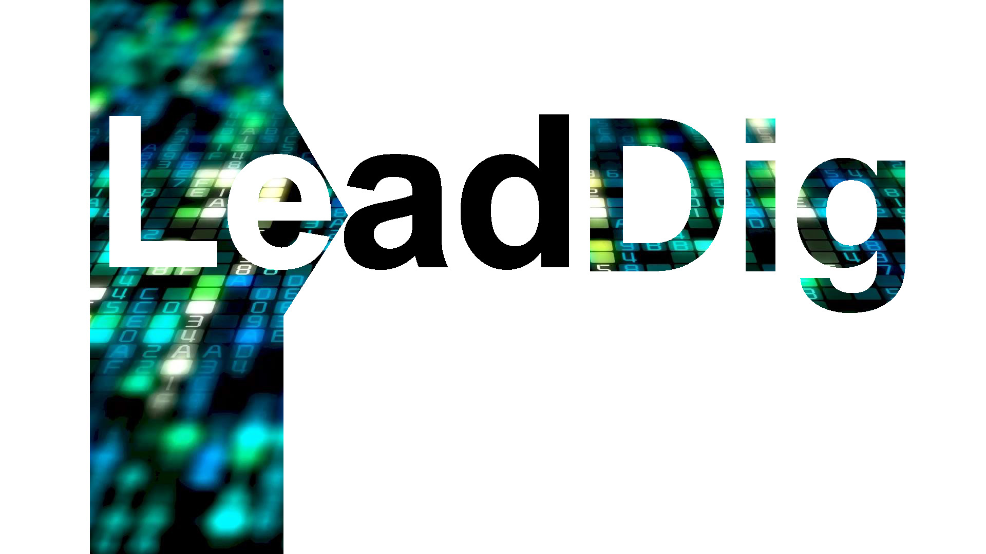 LeadDig
